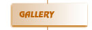 'Atelier Karas' Gallery